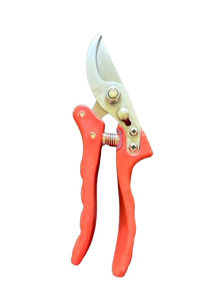PRUNING SHEAR WITH PLASTIC HANDLE